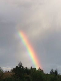 Rainbow over field