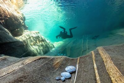 Man swimming in sea