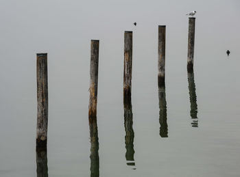 Wooden posts in sea against sky