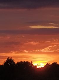 Silhouette trees against dramatic sky during sunset