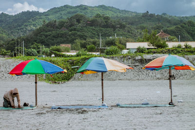 Deck chairs and parasols on beach against trees