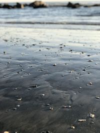 High angle view of pebbles on beach