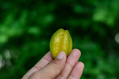 Close-up of hand holding fruit