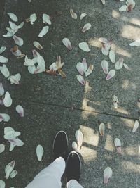 Low section of person standing in autumn leaves