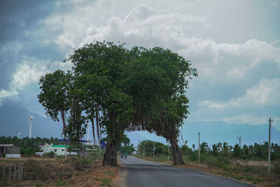 Road amidst trees against sky in city