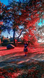 Rear view of people walking on autumn trees