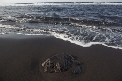 Scenic view of beach