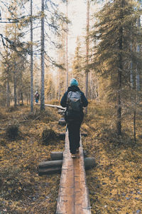 Rear view of man standing amidst trees in forest