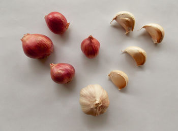 High angle view of eggs on white background