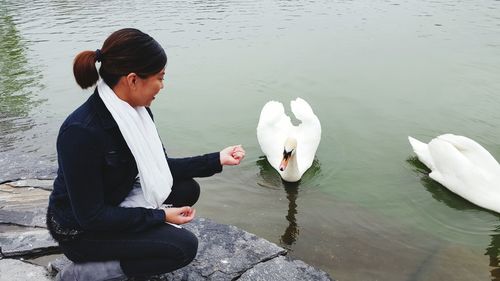 Side view of smiling mature woman looking at swans swimming in lake