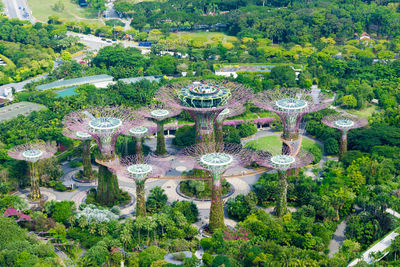 Scenic view of plants and trees