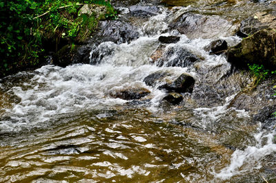 Stream flowing through rocks in forest