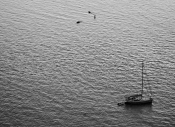 High angle view of sailboat sailing in sea