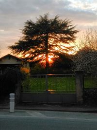 View of road at sunset