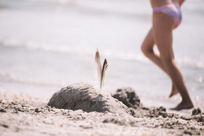 Close-up of feathers on sand against woman at beach