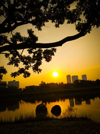 Silhouette tree by lake against sky during sunset