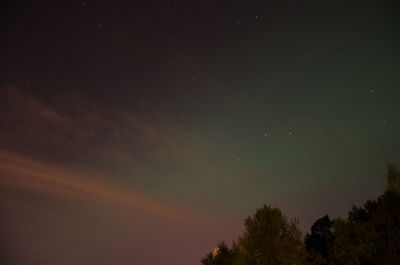 Low angle view of trees against sky at night
