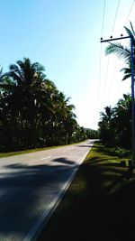 Empty road along trees