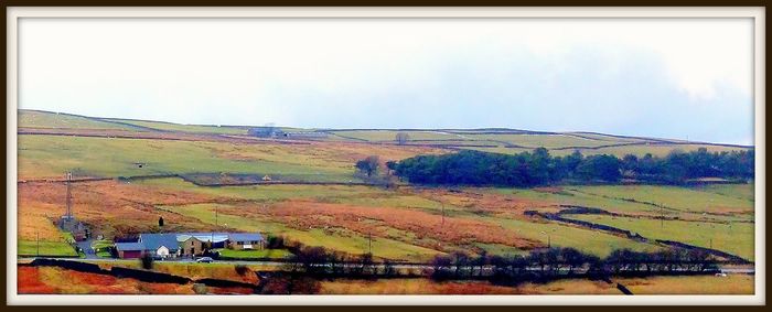 Scenic view of rural landscape