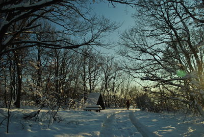 Bare trees on snow covered landscape