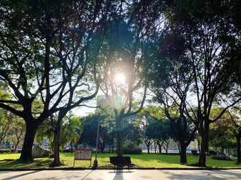 Trees in park against sky