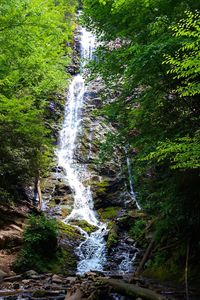 Scenic view of waterfall in forest