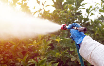 Midsection of man holding plants