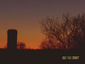 Trees against sky during sunset