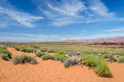 Scenic view of land against sky