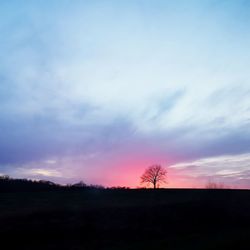 Silhouette trees on field against sky during sunset