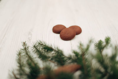 Close-up of pine cone on table