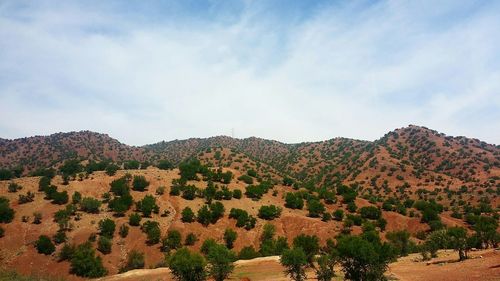 Scenic view of tree mountains against sky