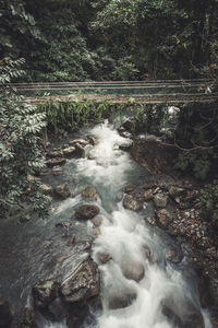 Stream flowing through rocks in forest