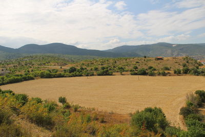 Scenic view of field against sky