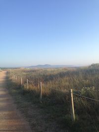 Scenic view of field against clear sky