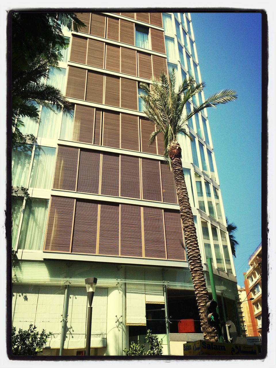 low angle view, building exterior, architecture, built structure, transfer print, auto post production filter, sky, building, tree, blue, city, glass - material, day, outdoors, window, modern, no people, sunlight, clear sky, tower