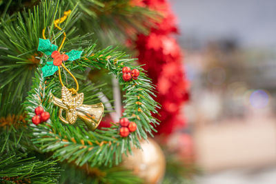 Close-up of christmas tree