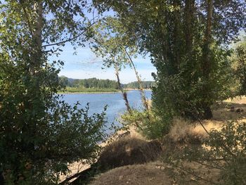 Scenic view of lake against sky