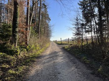 Road amidst trees against sky