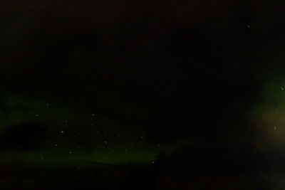 Defocused image of plants against sky at night