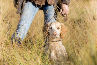 Low section of person with dog on field