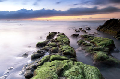 Scenic view of sea against sky at sunset