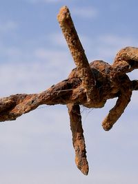 Low angle view of tree against sky