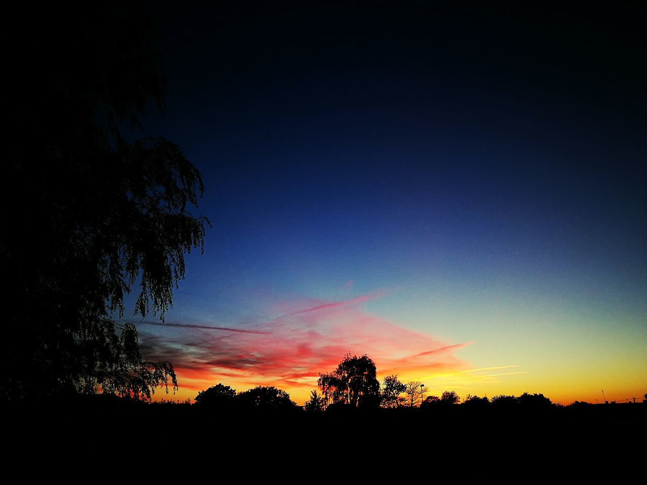 SILHOUETTE TREES ON FIELD AT DUSK