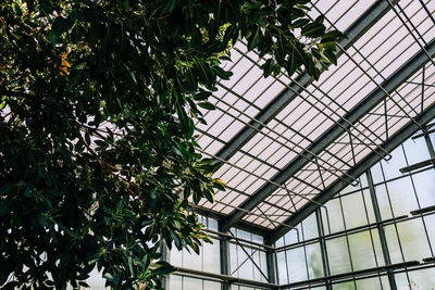 Low angle view of skylight in building