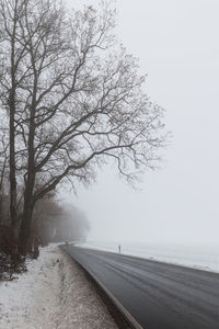 Road amidst bare trees against sky during winter