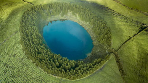 Aerial view of lagoa do pau pique lagoon surrounded by pine forest located on sao miguel, azores