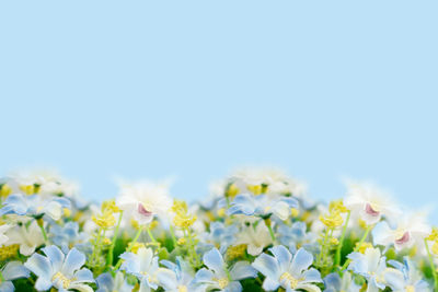 Blurred flowers and yellow pollen with green leaf. blooming of fake flower on soft blue background. 