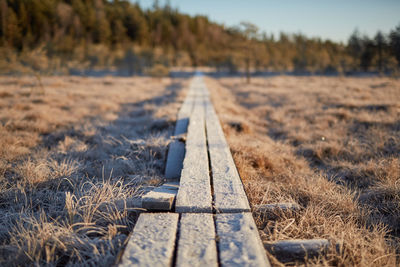 Surface level of railroad tracks on field