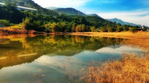 Scenic view of lake by trees against sky